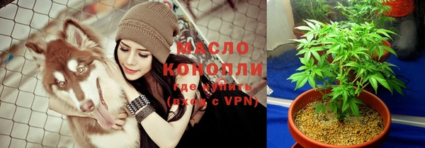 винт Абаза