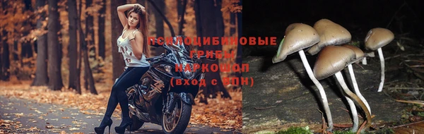 MESCALINE Магас